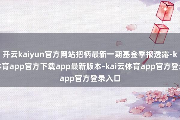 开云kaiyun官方网站把柄最新一期基金季报透露-kai云体育app官方下载app最新版本-kai云体育app官方登录入口