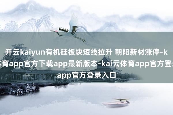 开云kaiyun有机硅板块短线拉升 朝阳新材涨停-kai云体育app官方下载app最新版本-kai云体育app官方登录入口