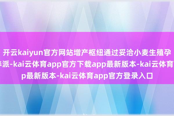 开云kaiyun官方网站增产枢纽通过妥洽小麦生殖孕育枢纽期的营营养派-kai云体育app官方下载app最新版本-kai云体育app官方登录入口